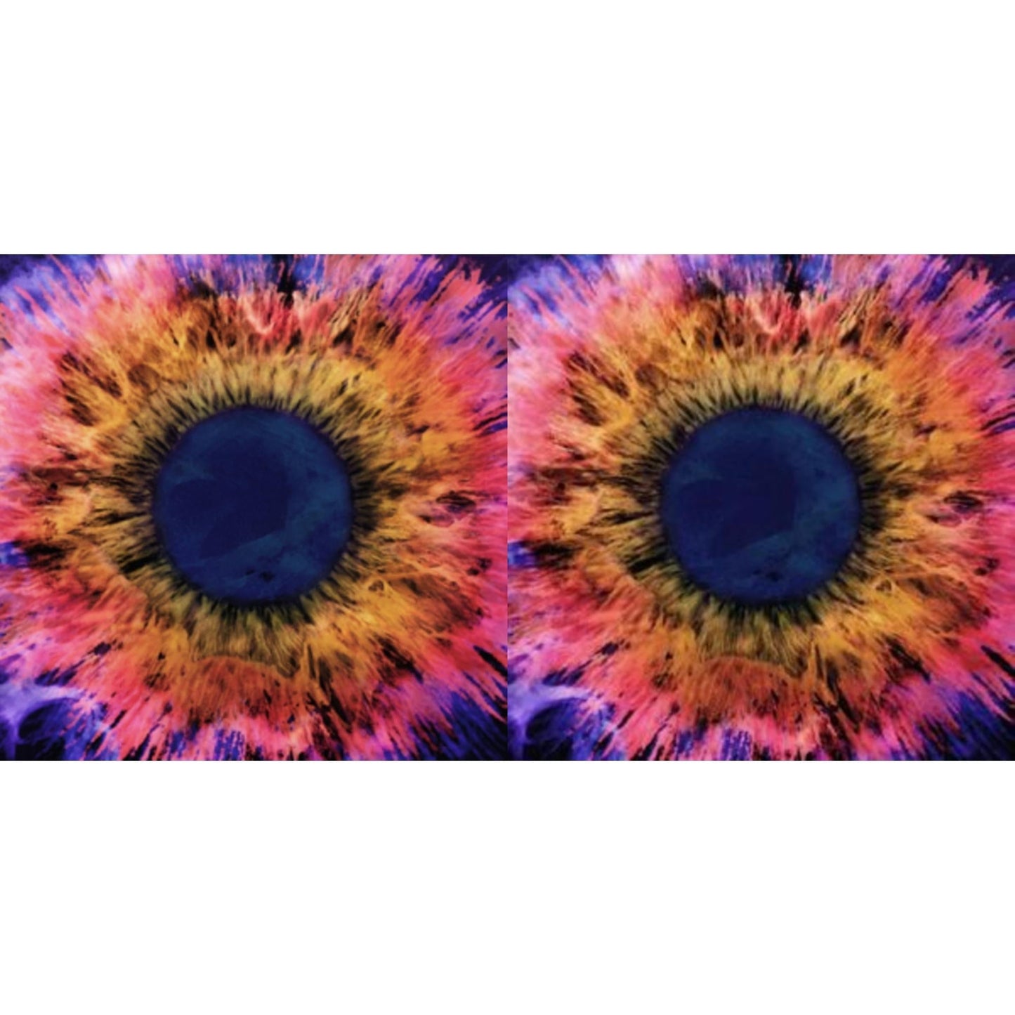 Thrice - Horizons / East & Horizons/East (Neon Yellow & Violet LP Vinyl)