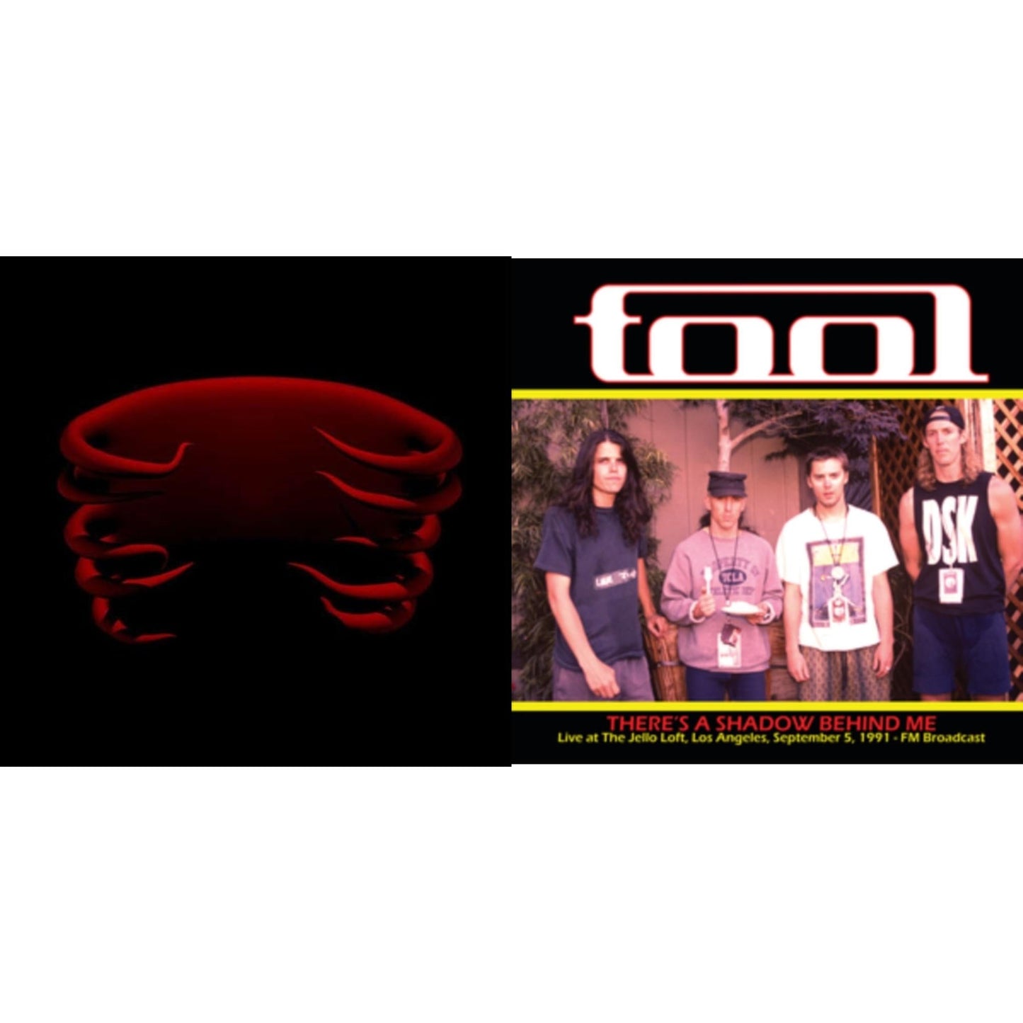 Tool - Undertow & Theres A Shadow Behind Me - Live At The Jello Loft. Los Angeles. September 5. 1991 - Fm Broadcast - LP Vinyl Bundle
