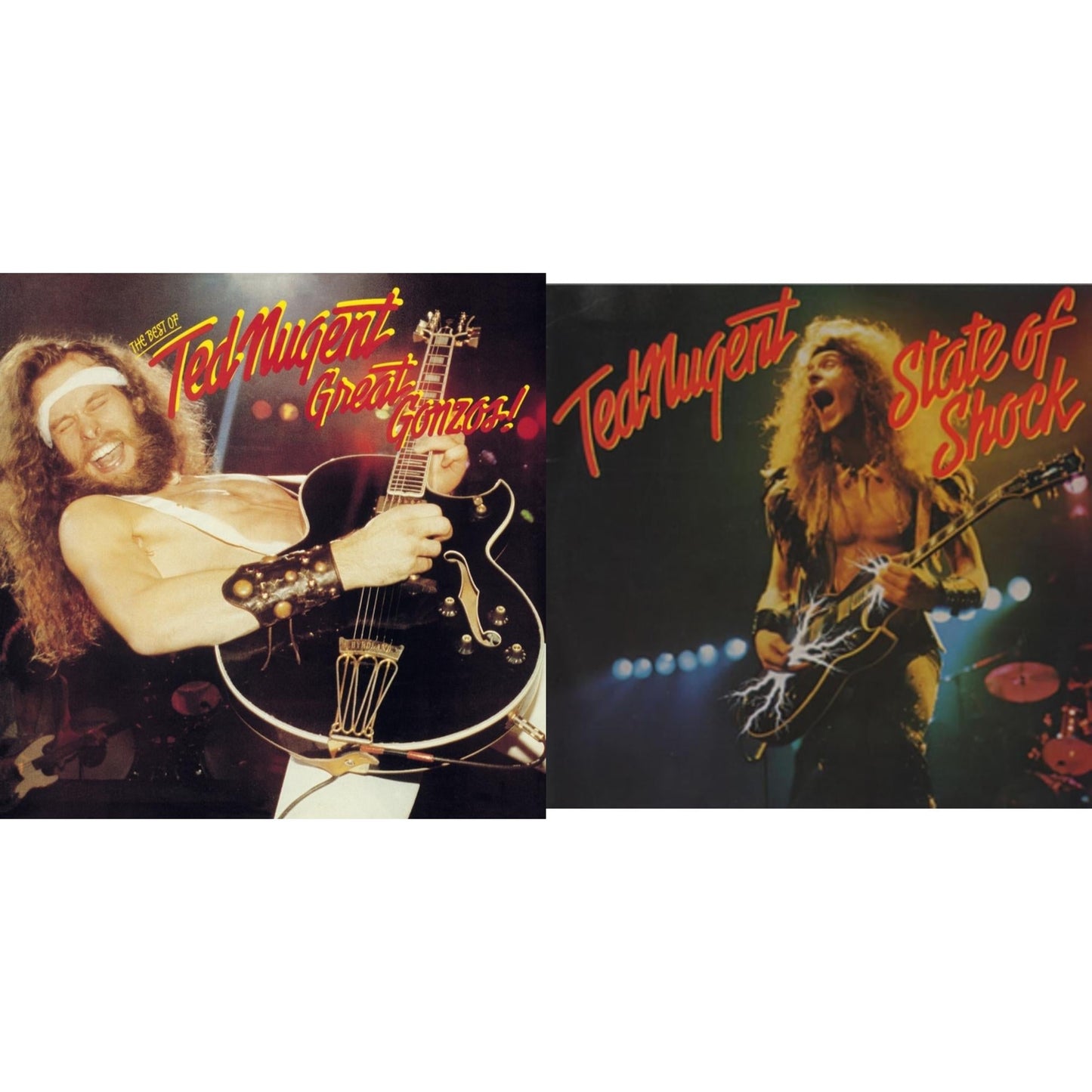 Ted Nugent - Great Gonzos: Best Of Ted Nugent & State Of Shock (24Bit Remastered) - CD Bundle