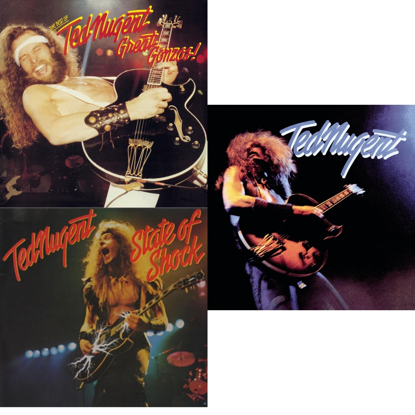 Ted Nugent - Great Gonzos: Best Of Ted Nugent & State Of Shock (24Bit Remastered) & Ted Nugent - CD Bundle