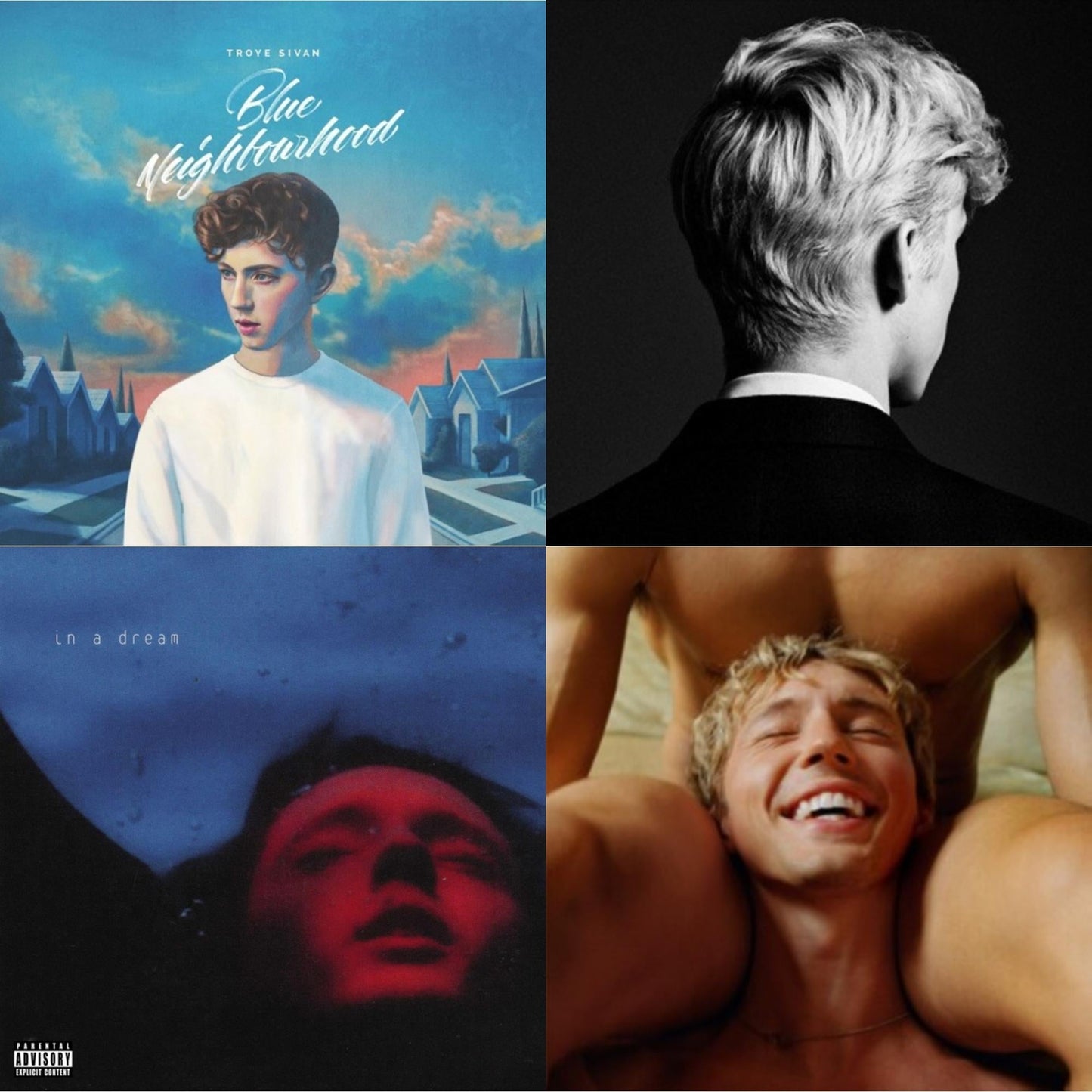 Troye Sivan - Something To Give Each Other (X) & In A Dream (Ep) (Light & Dark Blue Splatter LP Vinyl/180G) & Blue Neighbourhood & Bloom