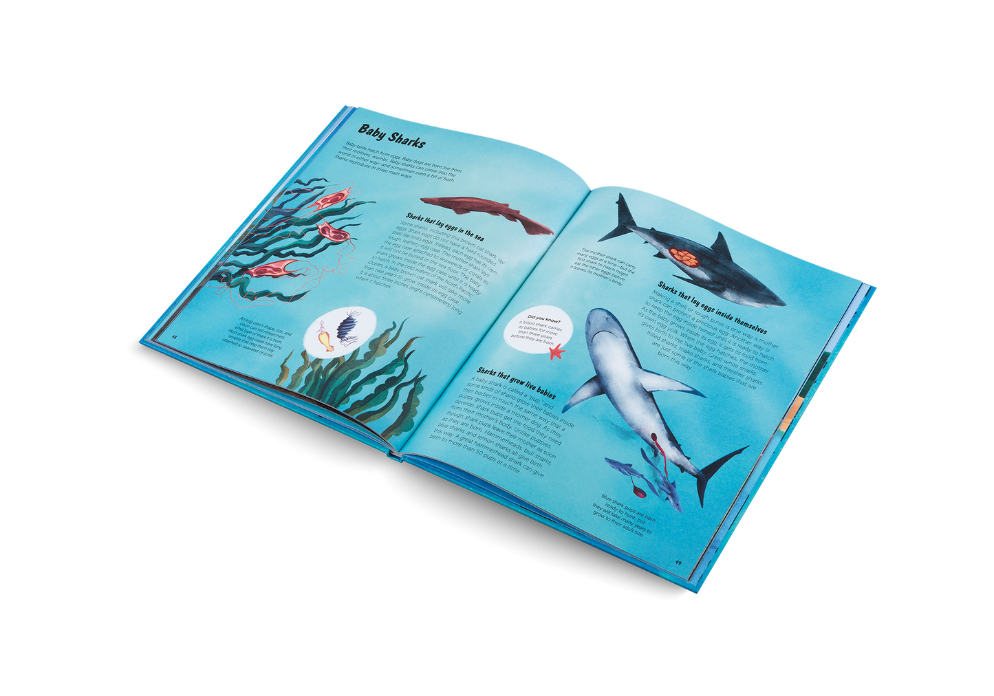 The World of Sharks Book