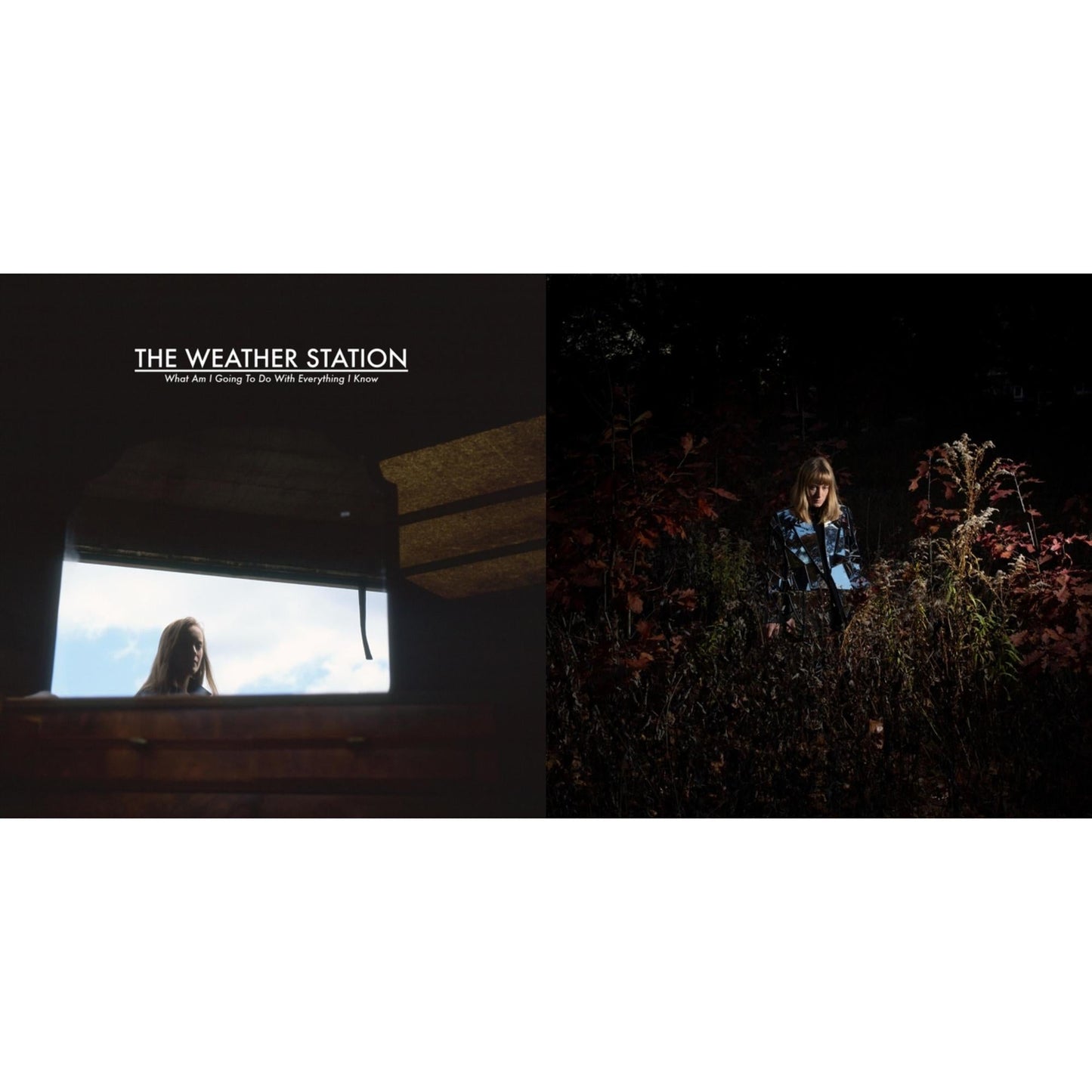 Weather Station - What Am I Going To Do With Everything I Know & Ignorance (Deluxe/Metallic Silver Vinyl/2LP)