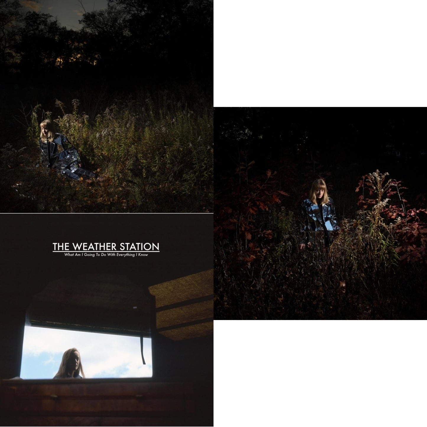 Weather Station - Ignorance (Silver LP Vinyl) (I) & What Am I Going To Do With Everything I Know & Ignorance (Deluxe/Metallic Silver Vinyl/2LP)