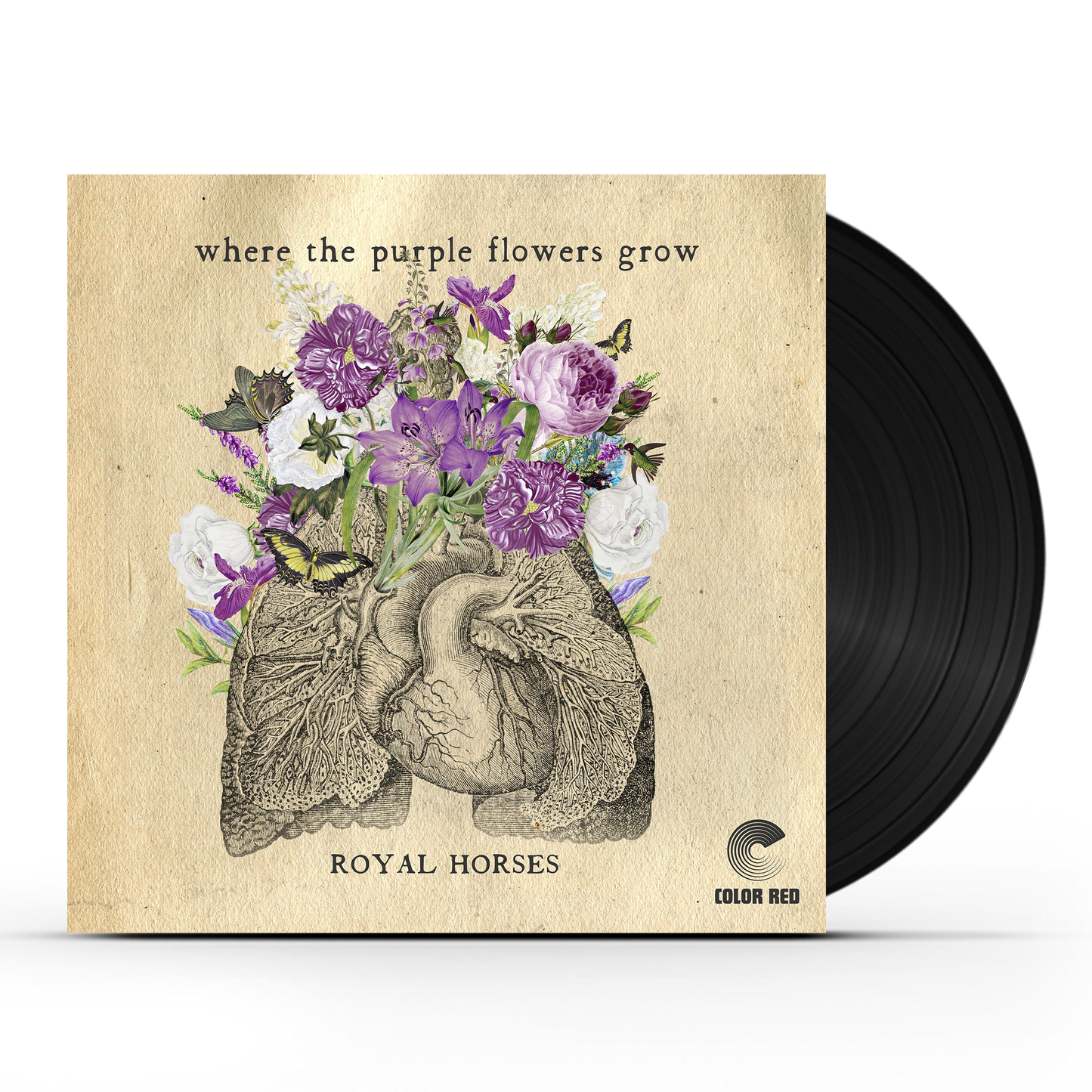 Royal Horses - Where The Purple Flowers Grow (LP) Vinyl Record