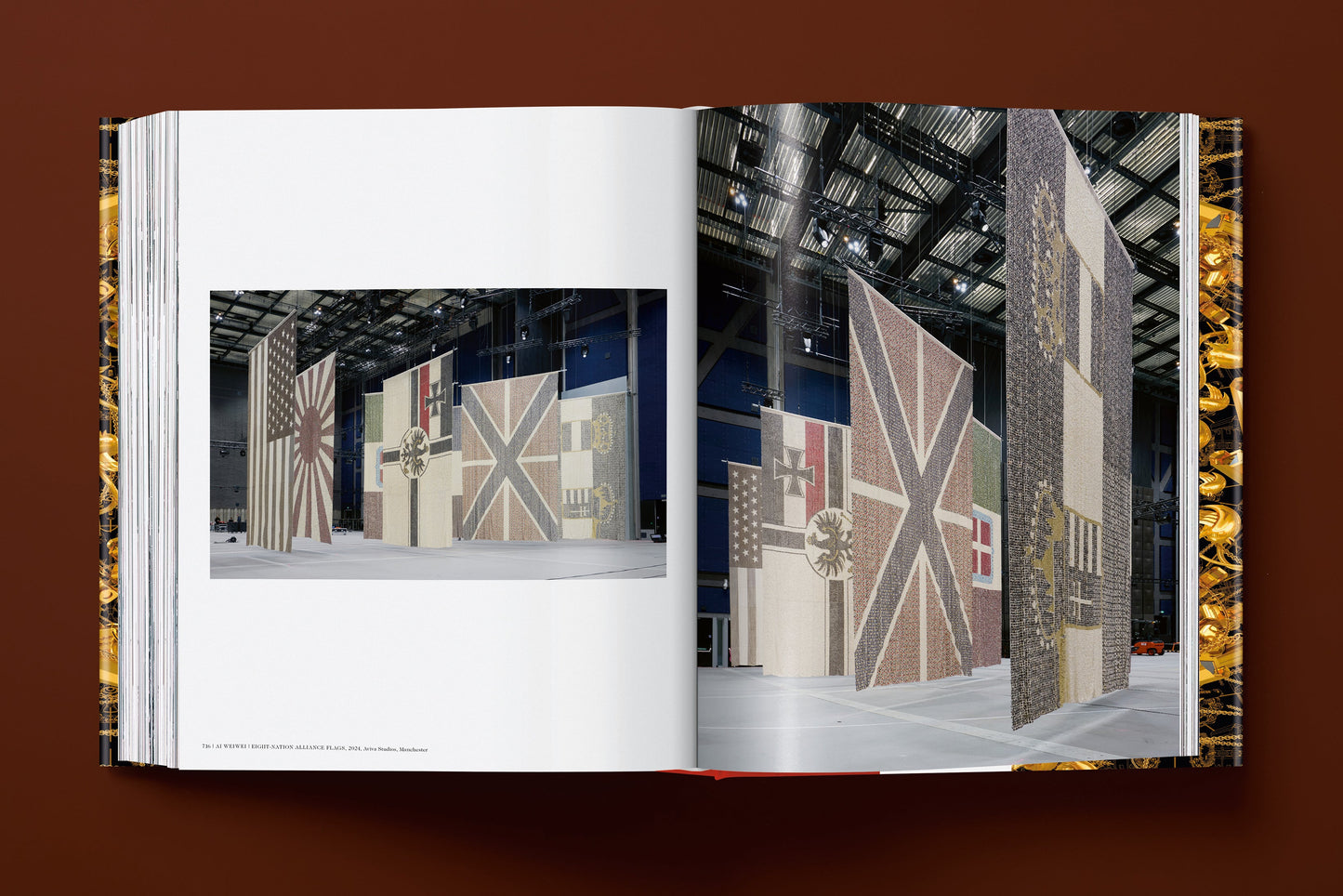 Ai Weiwei. Updated Edition (German, French, English) Book