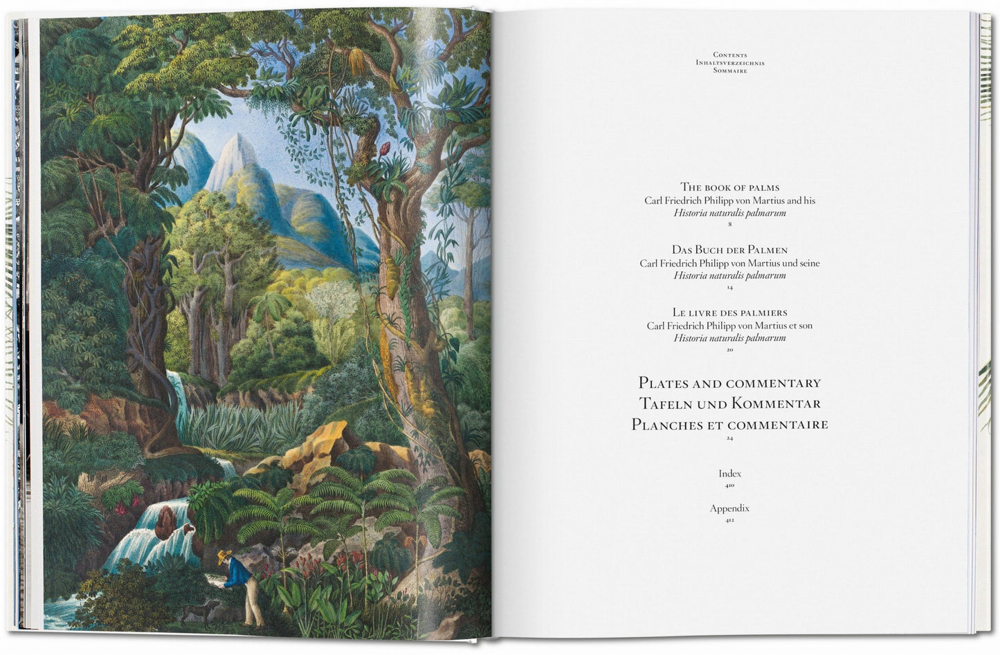 Martius. The Book of Palms (German, French, English) Book