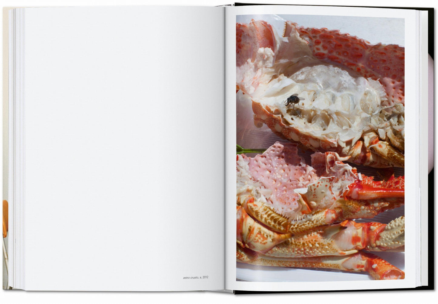 Wolfgang Tillmans. four books. 45th Ed. (English) Book