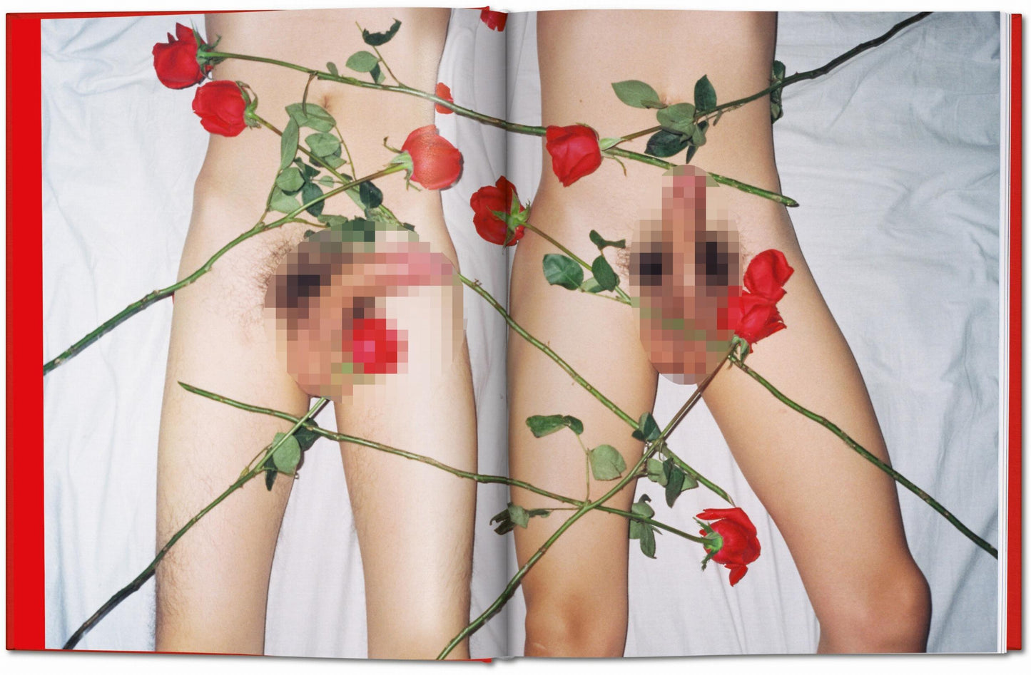 Ren Hang (German, French, English) Book