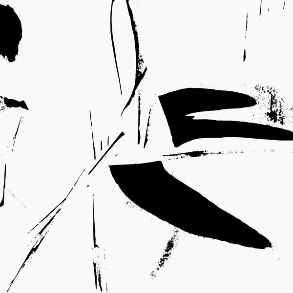 AKIO SUZUKI - Zeitstudie Vinyl Record