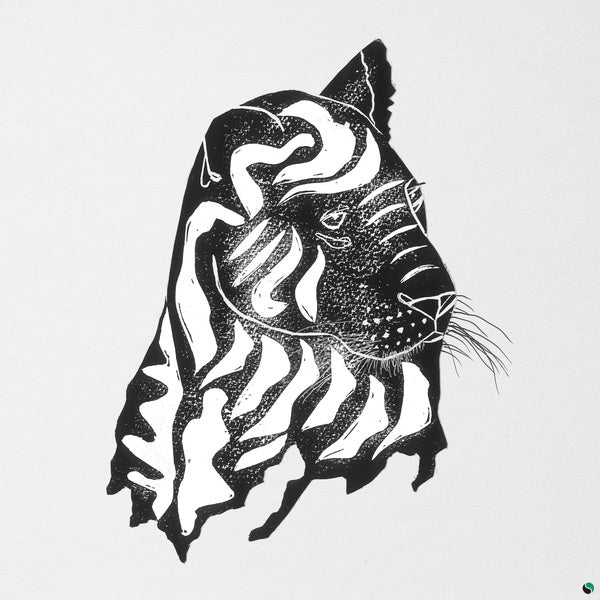 ALPHA STEPPA & AWA FALL - What a Joy Vinyl Record