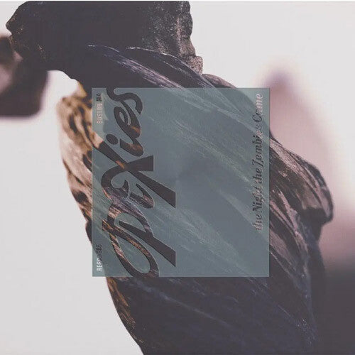 The Night The Zombies Came Music CD