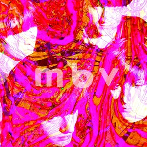 We're So Beautiful Vinyl Record