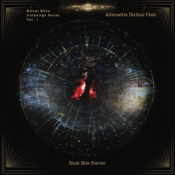 Black Hole Diaries Vinyl Record