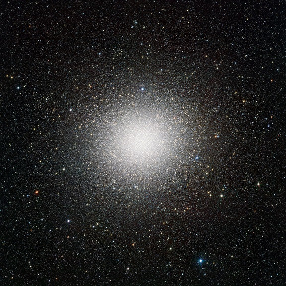 Immensita Vinyl Record