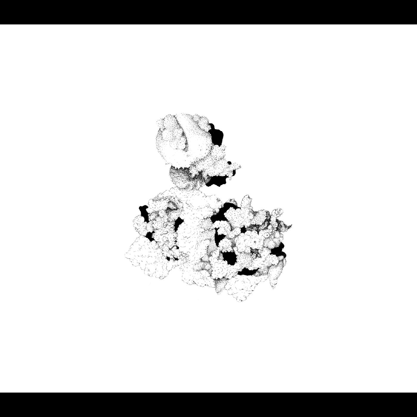 Capacious Aeration Music CD