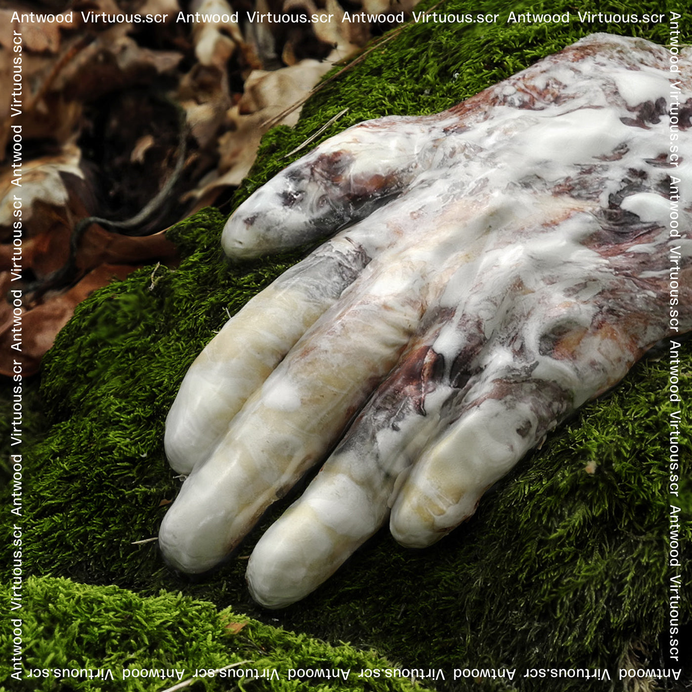 Virtuous.scr Vinyl Record