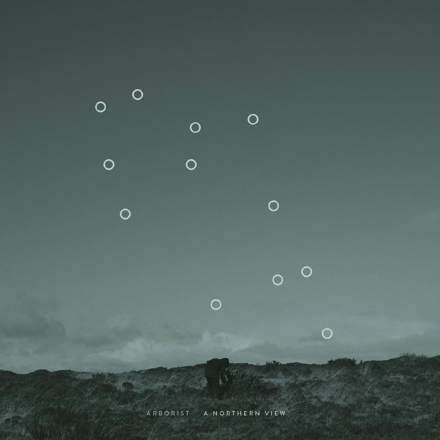 Arborist - A Northern View Vinyl Record