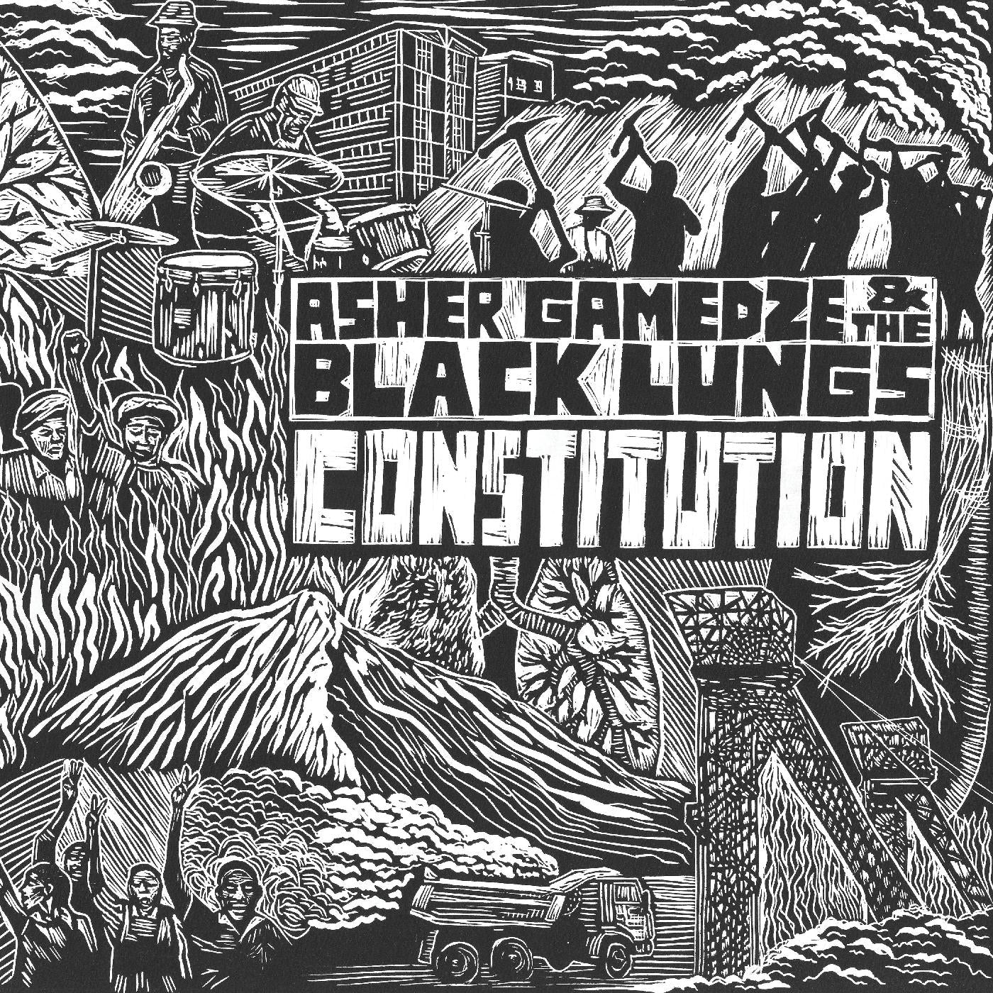 Constitution Vinyl Record
