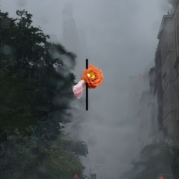 Songs People Together Vinyl Record