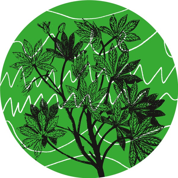 Brasil Novas Frequencias Vinyl Record