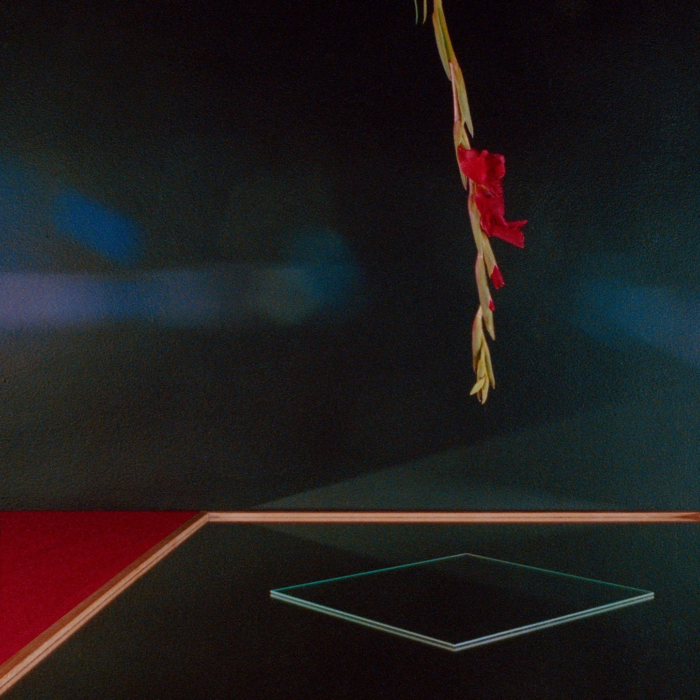 Surlendemains Acides Vinyl Record