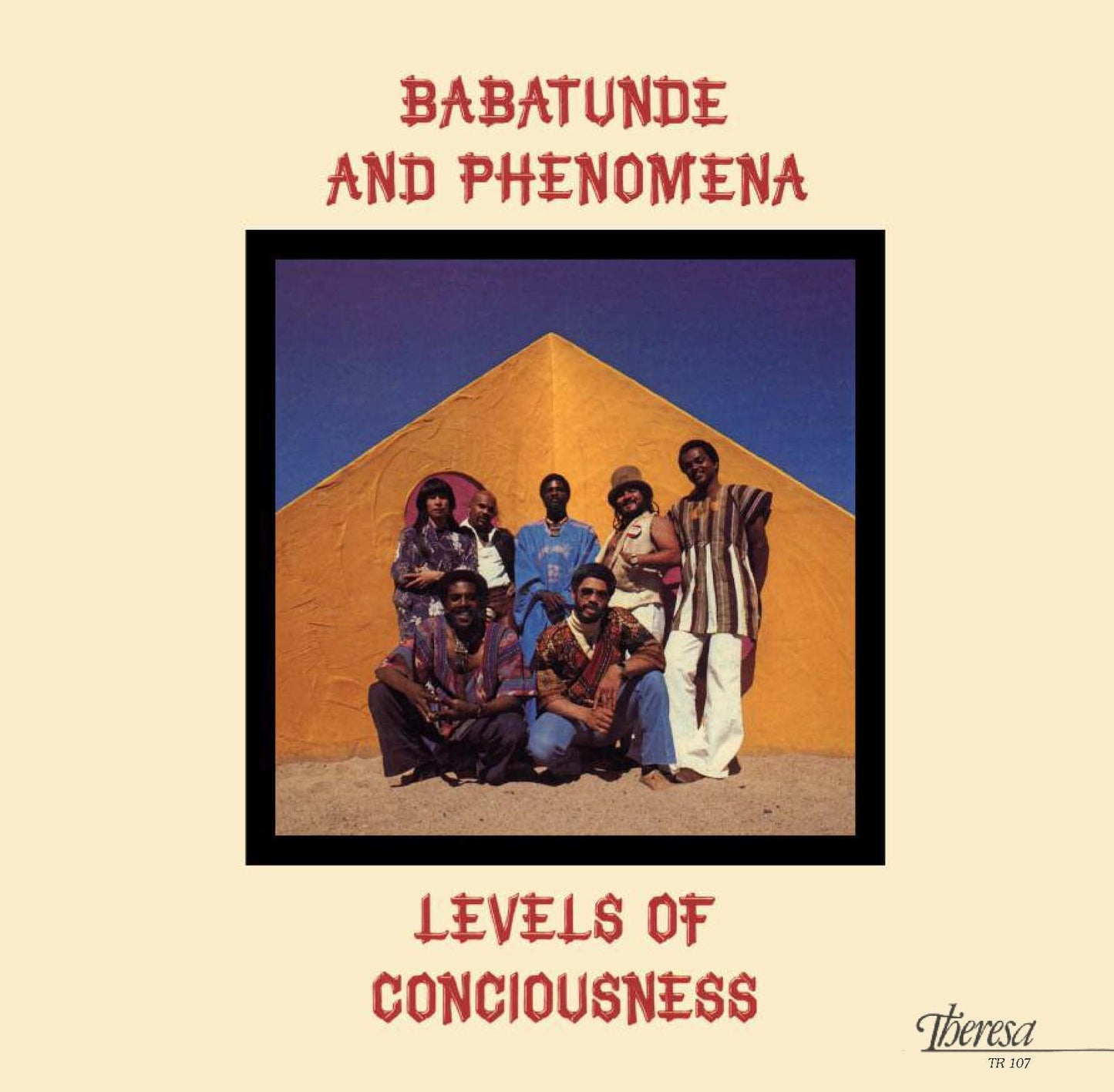 Levels Of Consciousness Vinyl Record