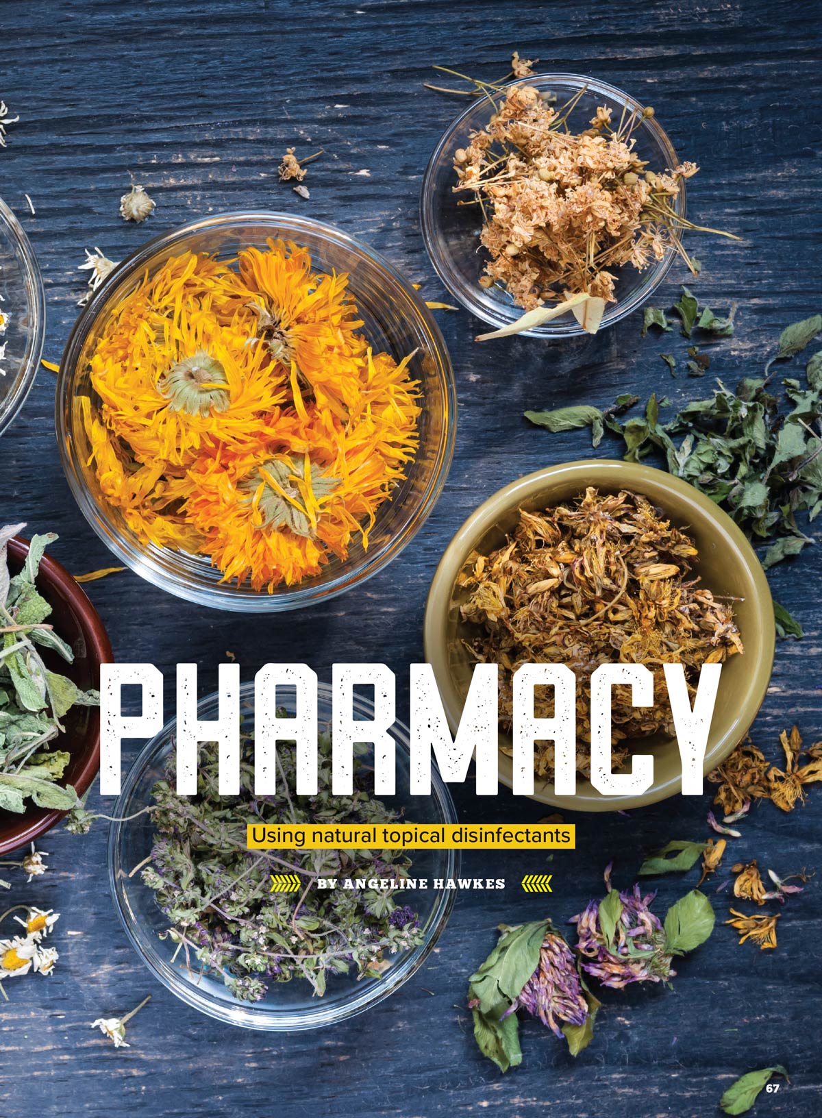 Backwoods Survival Guide - Living Off The Land No. 31: 200+ Essential Tips For The Simple Life, Self Reliance Strategies, Wilderness Skills, Homesteading Necessities, Challenges & More!