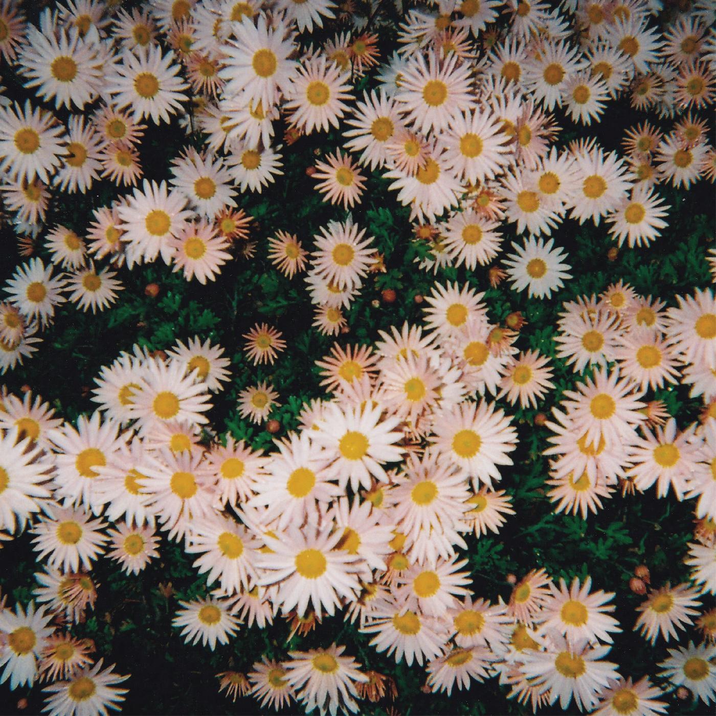 Bad Bad Hats (PINK VINYL) Vinyl Record