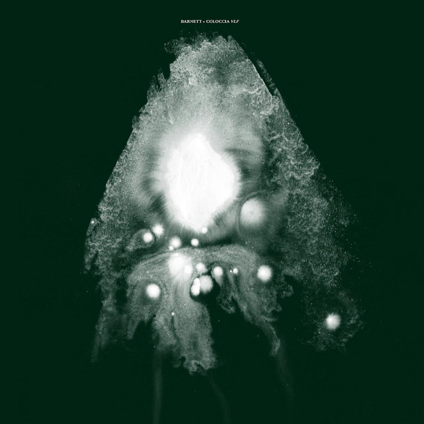 Barnett & Coloccia - VLF Vinyl Record