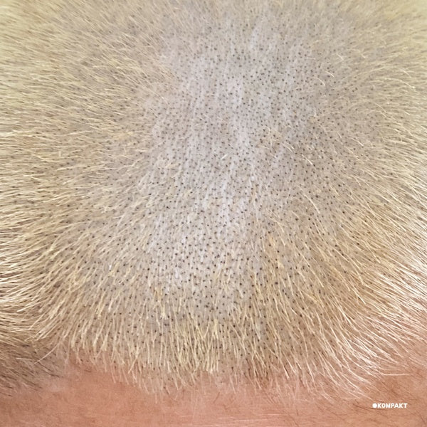 ProMetal Fan Decor Only Product Vinyl Record