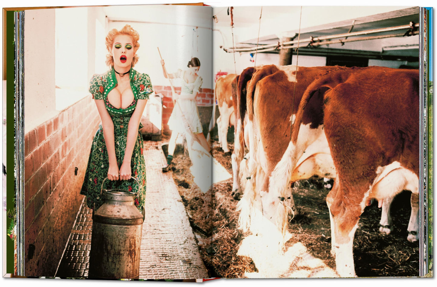Ellen von Unwerth. Heimat (German, French, English) Book