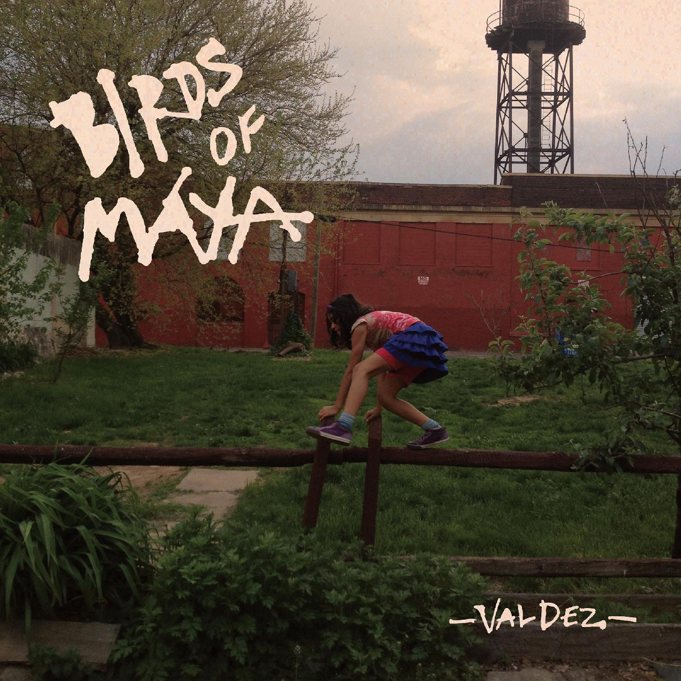 Valdez Vinyl Record