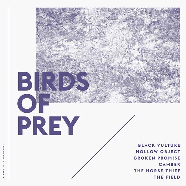BIRDS OF PREY - Birds of Prey Vinyl Record