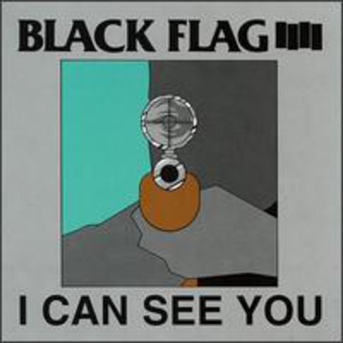 I Can See You Vinyl Record