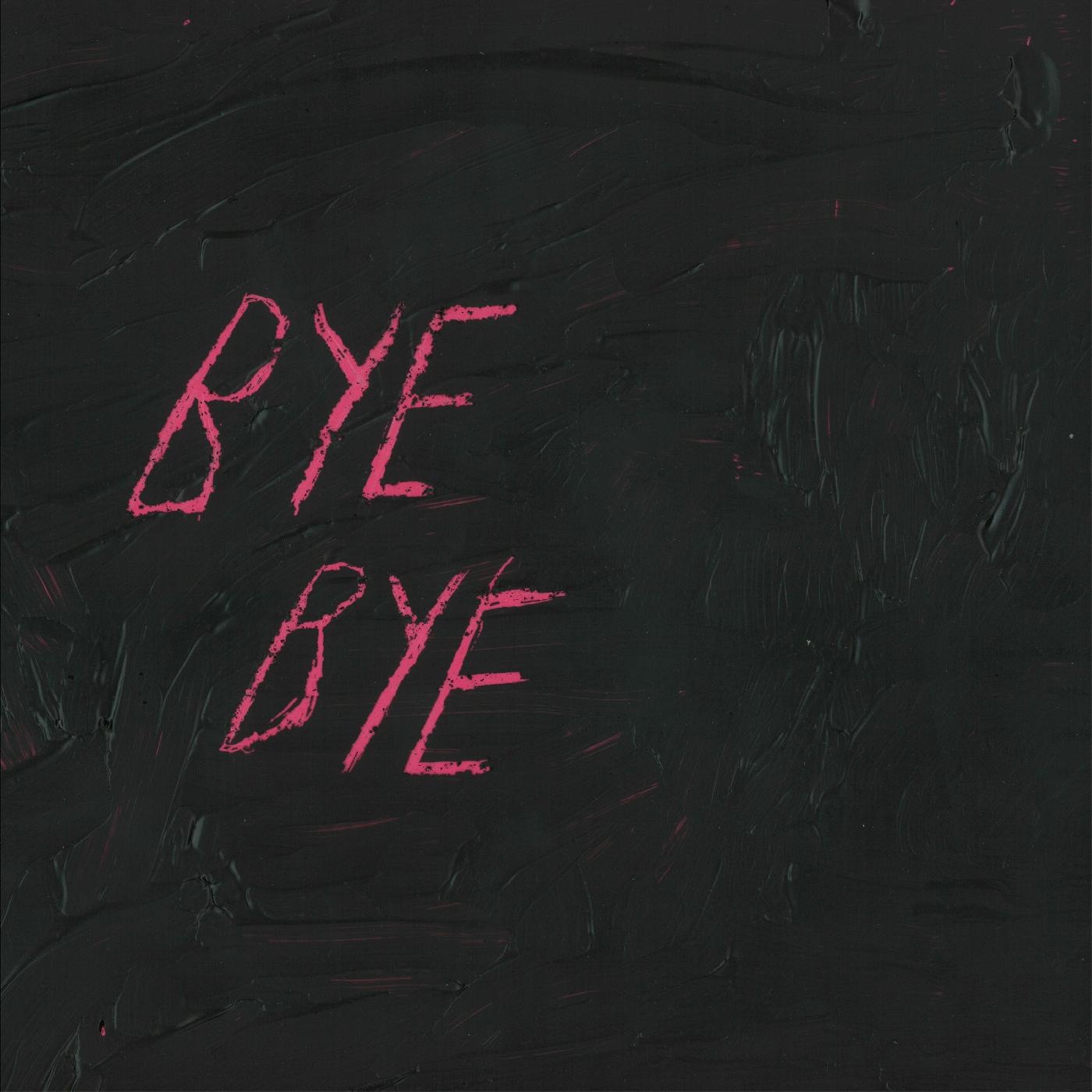 Bye Bye Vinyl Record
