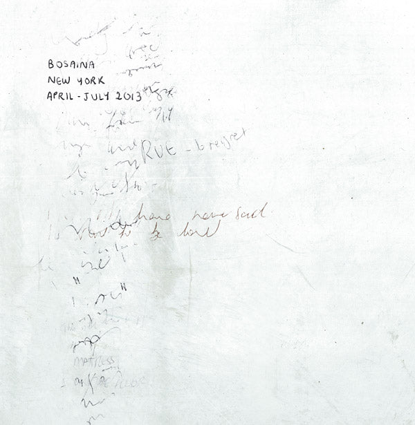 BOSAINA - New York April-July 2013 / Two Names Upon The Shore Vinyl Record