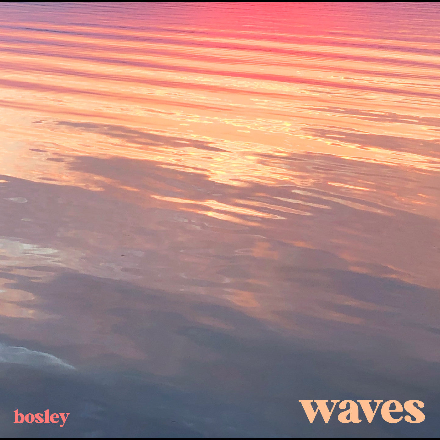 Waves Vinyl Record