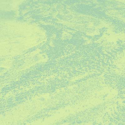 Brett Naucke - Seed Vinyl Record