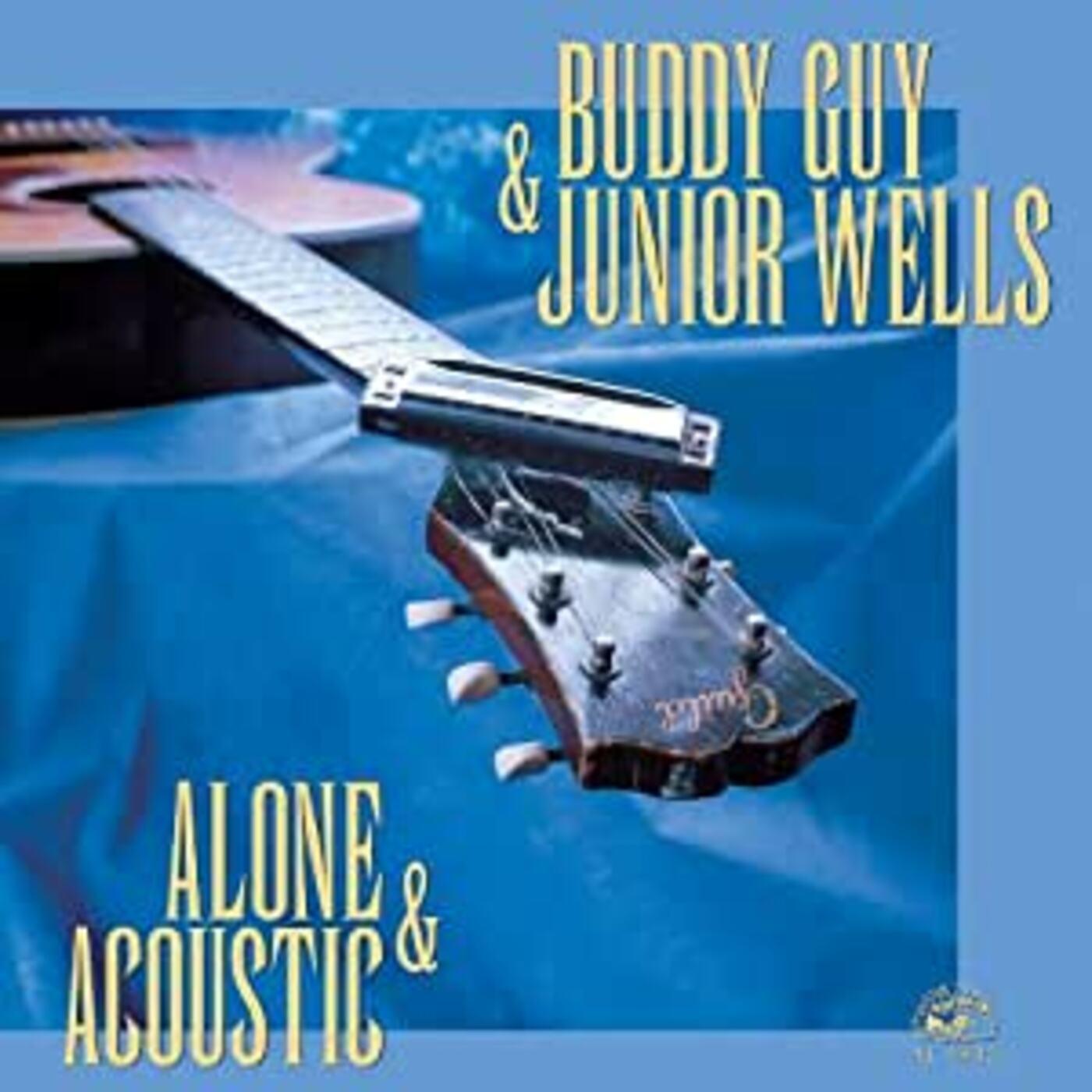 Alone & Acoustic Vinyl Record