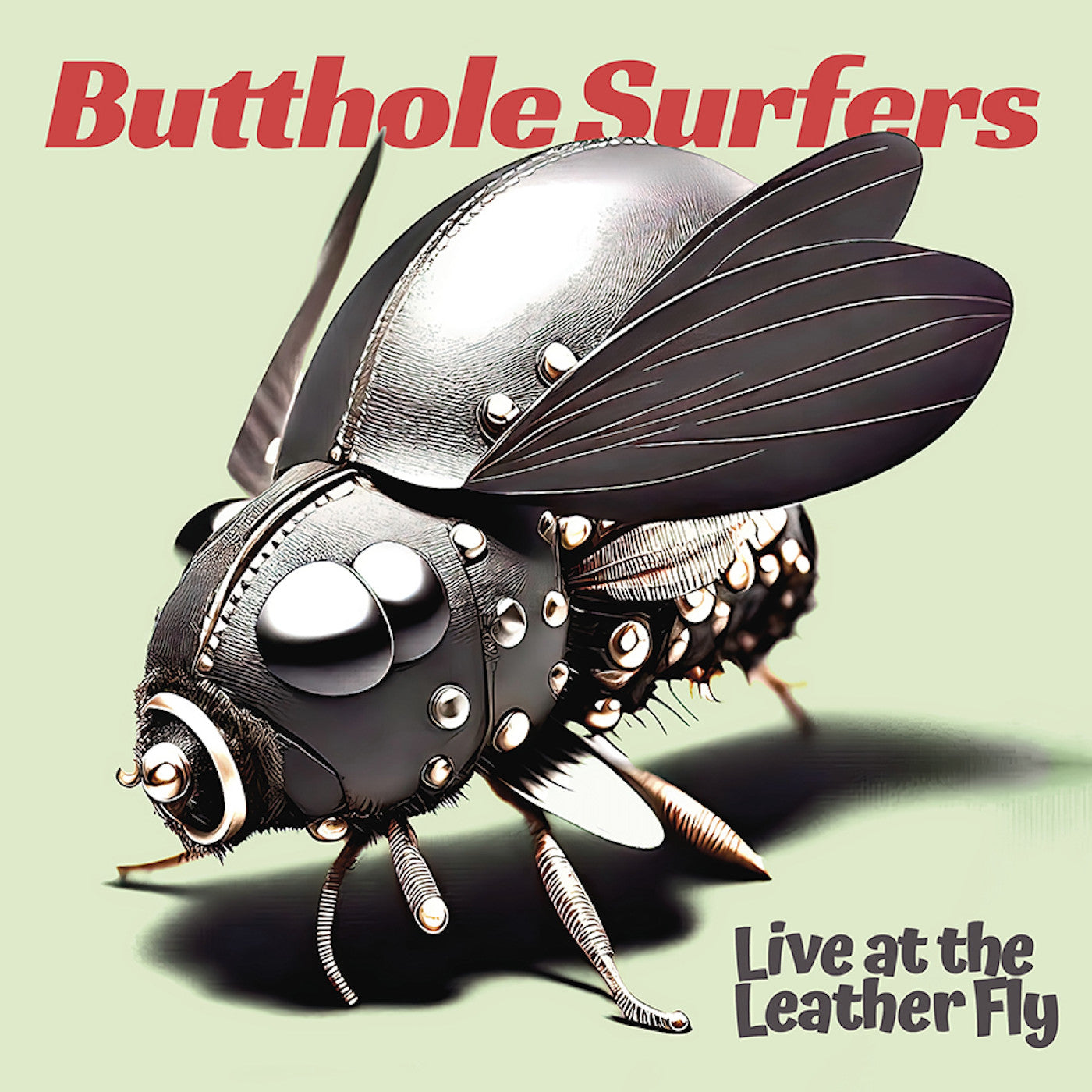 Live At The Leather Fly Music CD