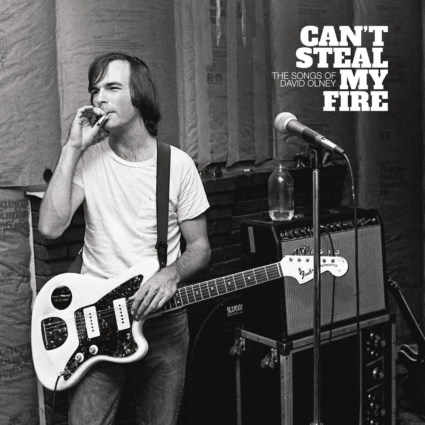 Various Artists - Can't Steal My Fire: The Songs of David Olney Vinyl Record