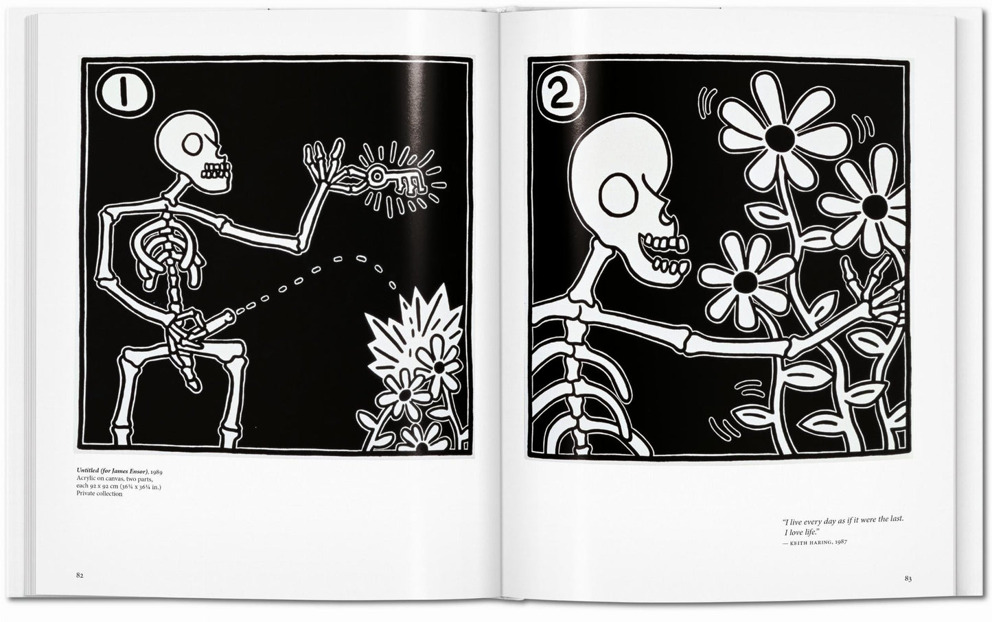 Haring (English) Book