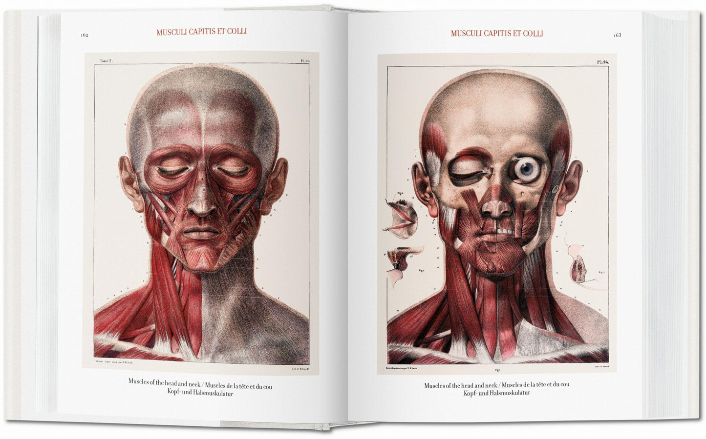 Bourgery. Atlas of Human Anatomy and Surgery (German, French, English) Book