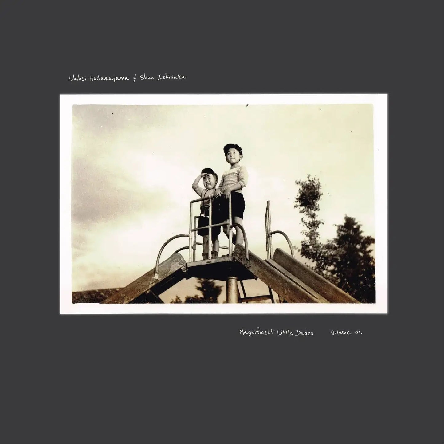 Magnificent Little Dudes Vol.1 Vinyl Record