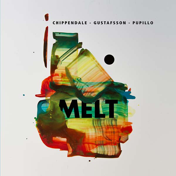 Melt Vinyl Record