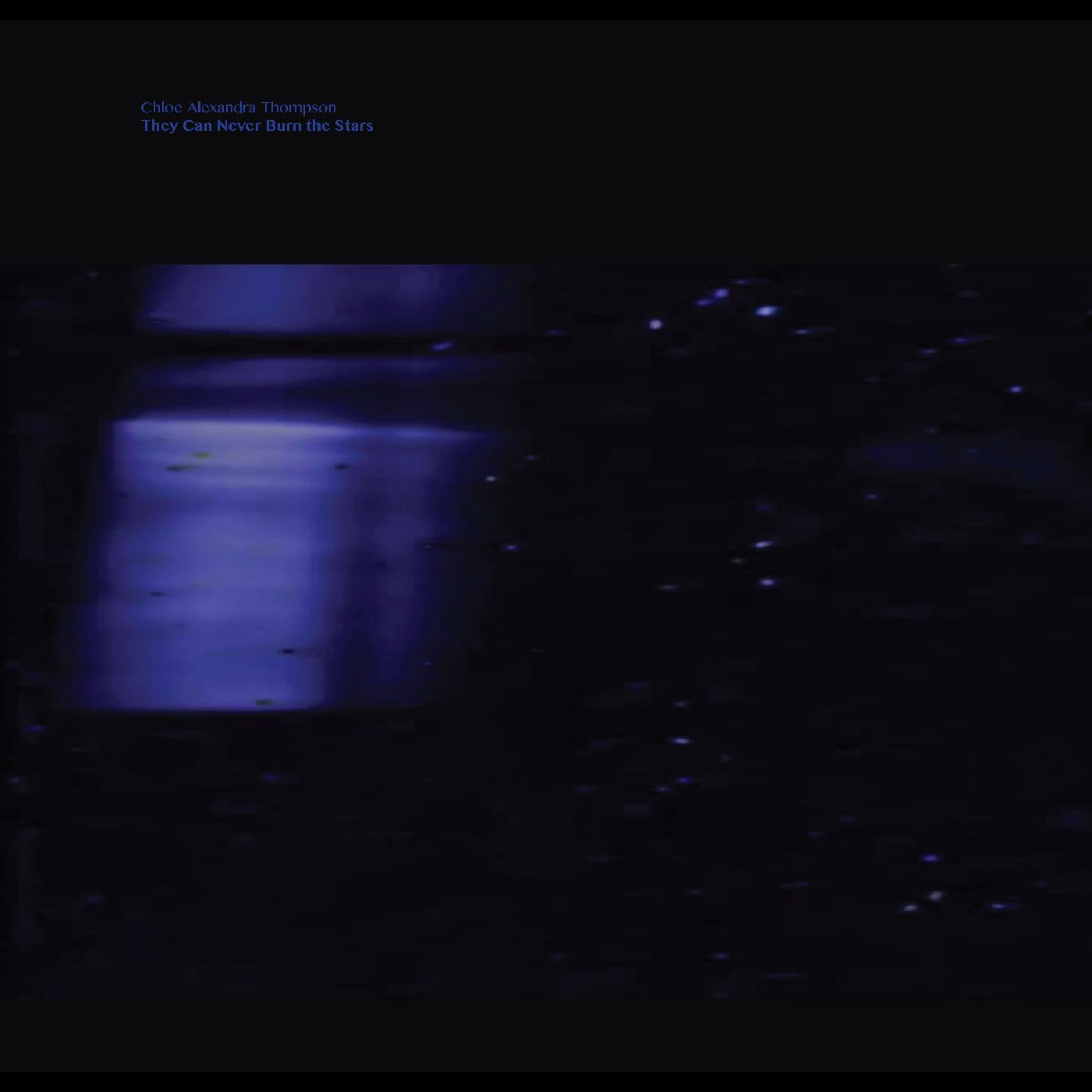 They Will Never Burn The Stars Vinyl Record