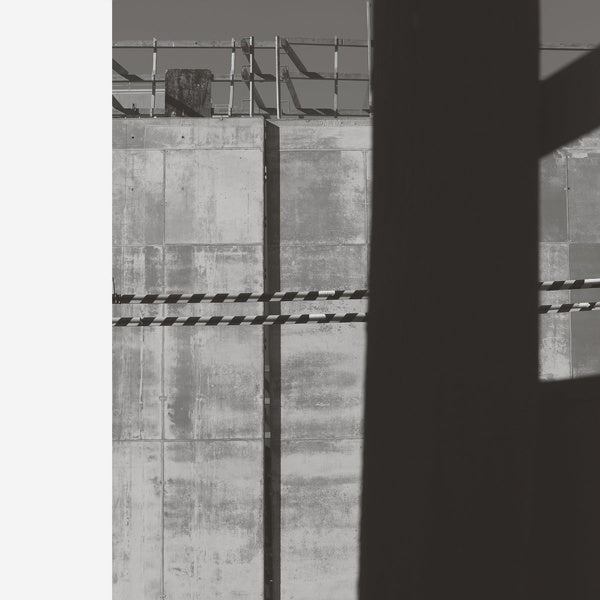 Follower Vinyl Record