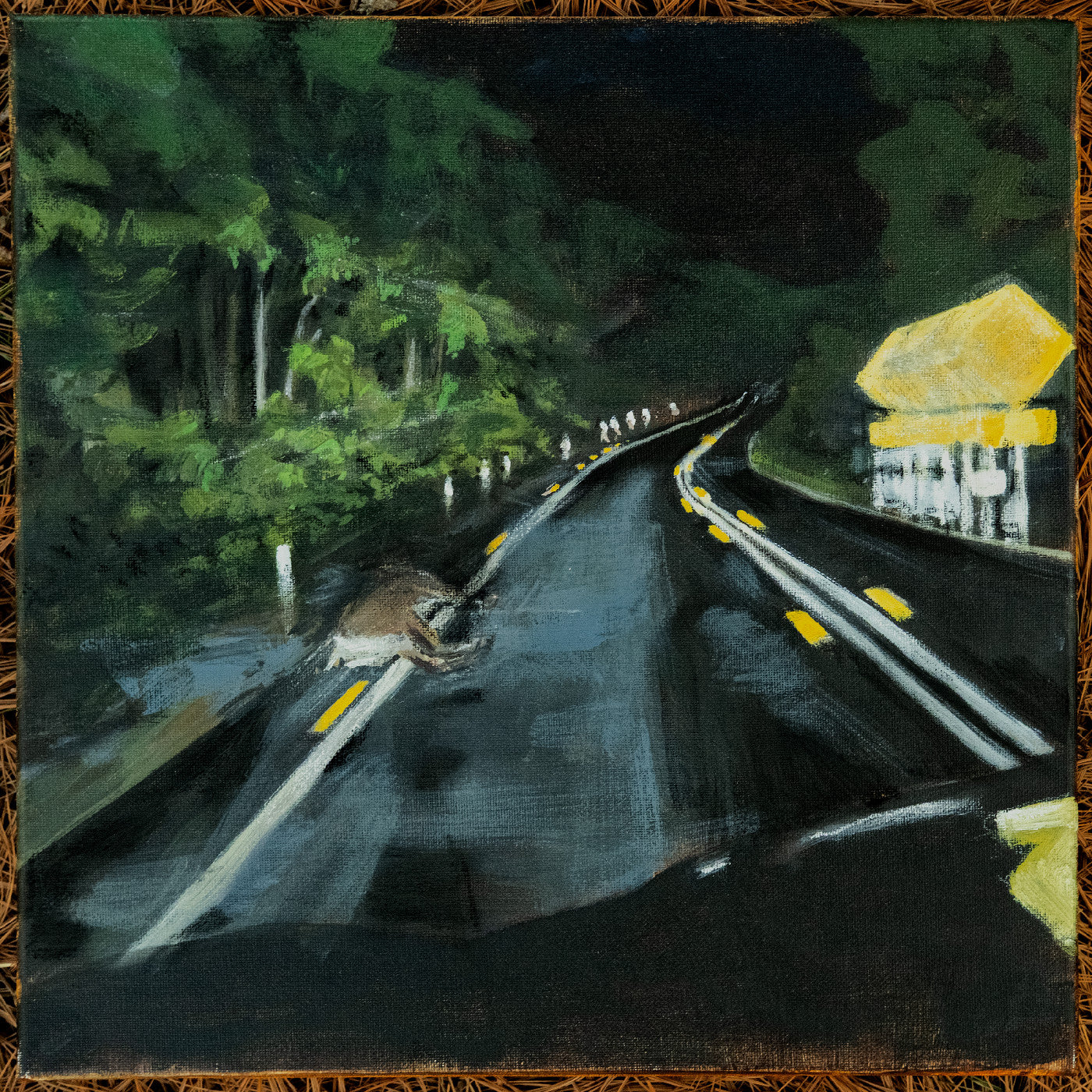 Golden Caravan Vinyl Record