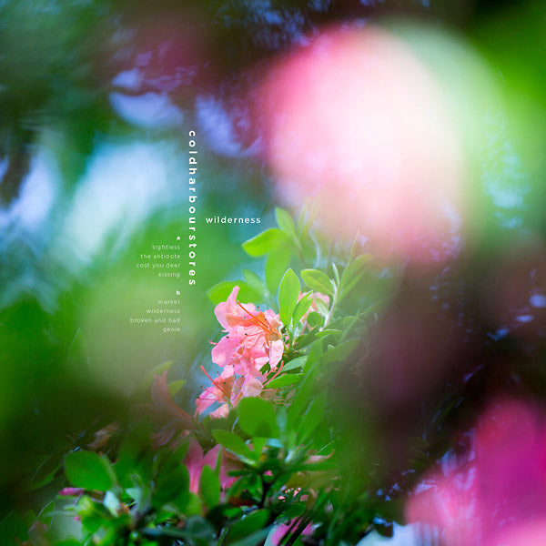 COLDHARBOURSTORES - Wilderness Vinyl Record